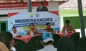 Oplus_131072